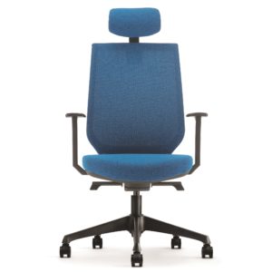 Elegant Design Highback Office Chair OFNX220211